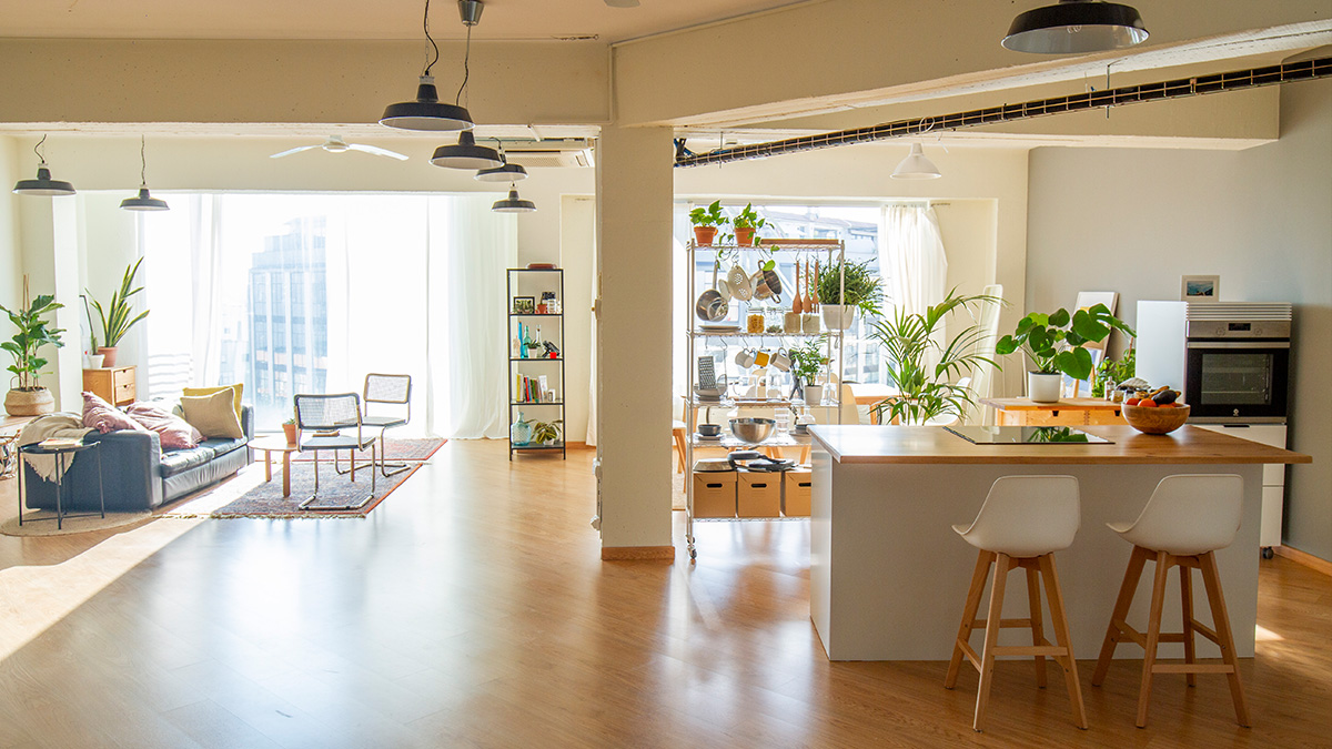Un style de vie minimaliste pour un salon et une cuisine lumineux