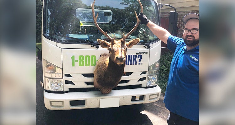 1-800-GOT-JUNK? truck team member posing with a deer head