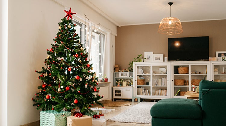 Perfectly organized living room with a big Christmas tree by the window