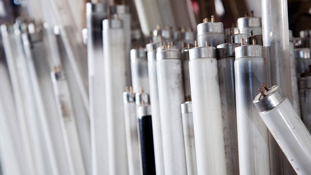 Vertically arranged fluorescent tube light bulbs