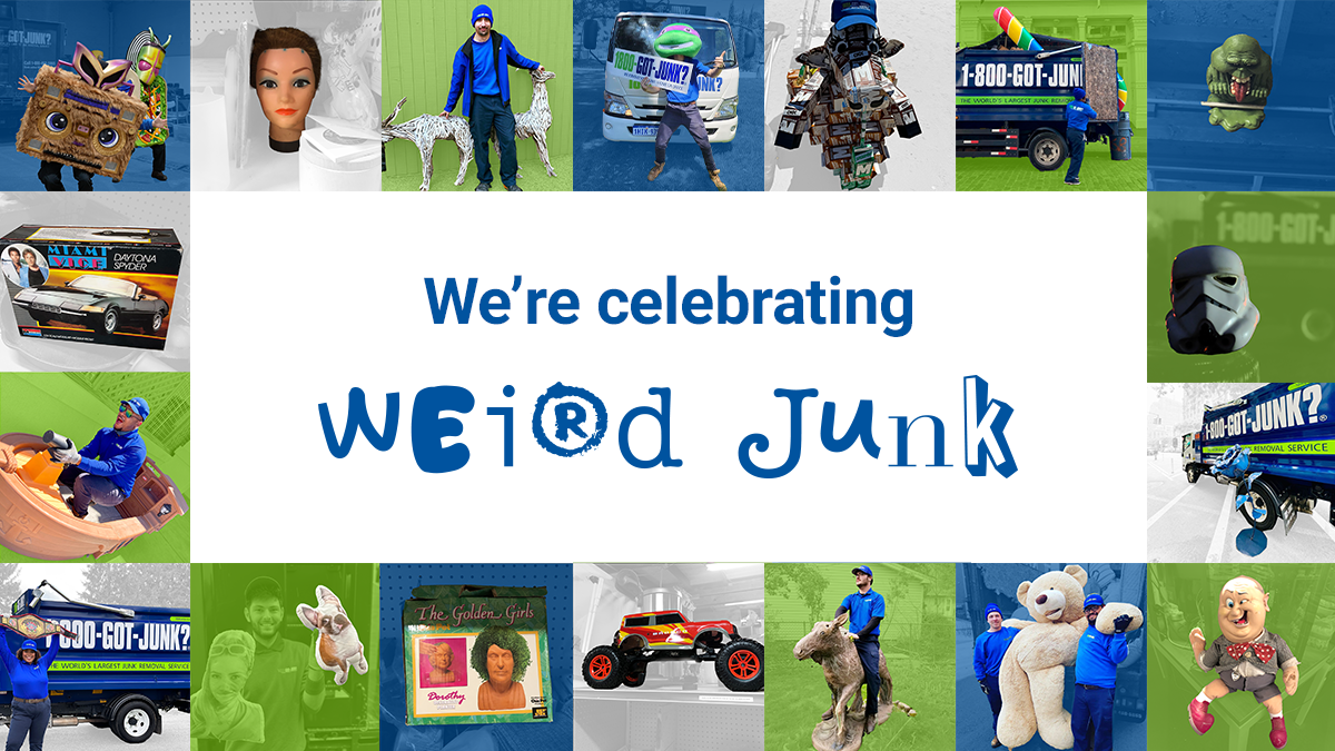 Weird Junk 2024 Header