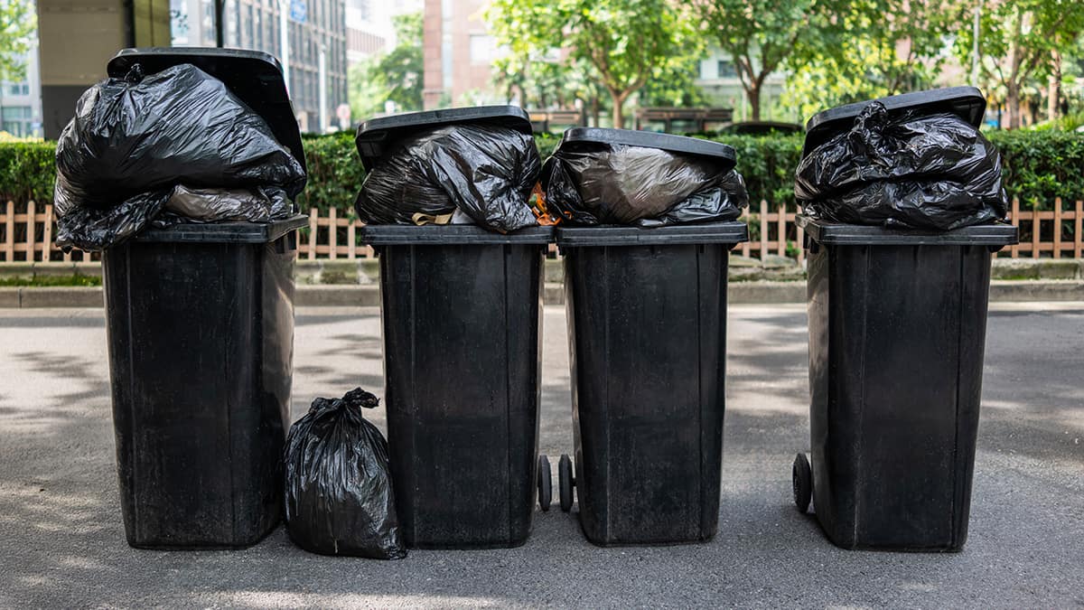 Four overflowing black garbage bins on road